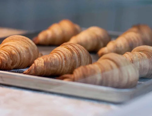 Best Avada Bakery products of 2019